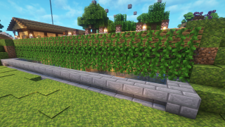 Vines Farm